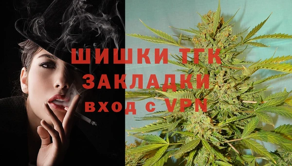 прущие грибы Балахна