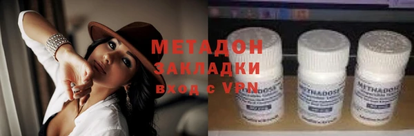 прущие грибы Балахна