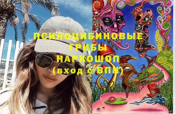 прущие грибы Балахна