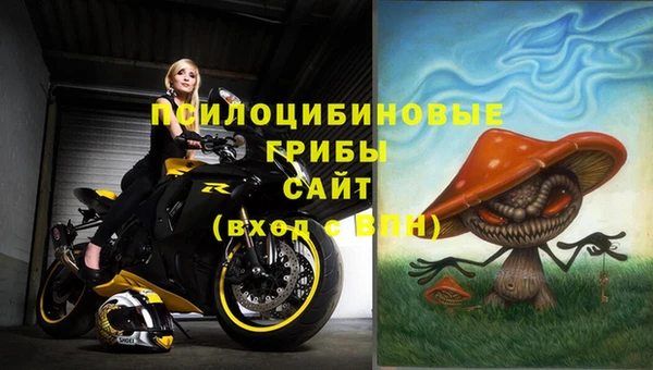 прущие крисы Баксан