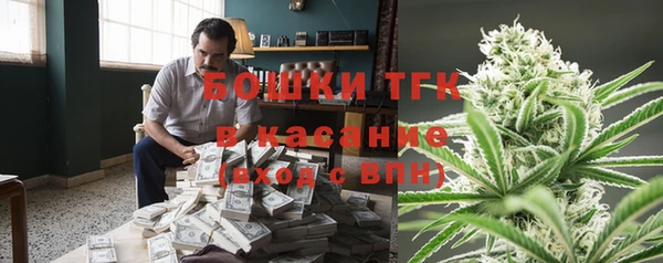 прущие грибы Балахна