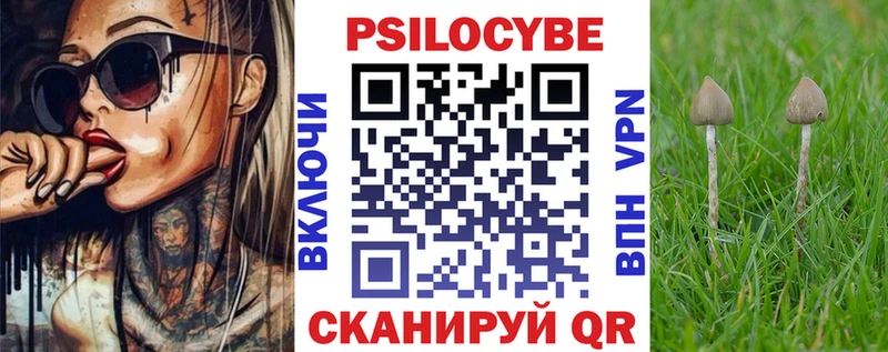 Псилоцибиновые грибы Psilocybe  Купить  Свирск 